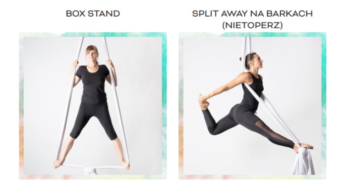 BOX STAND I SPLIT AWAY NA BARKACH (NIETOPERZ)